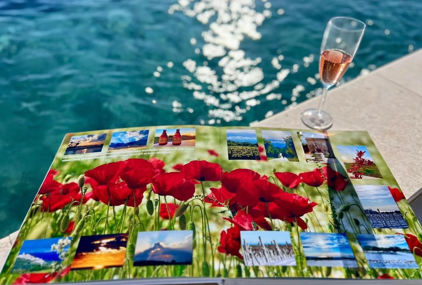 Villa Vinova Loza Kastelir Croatia